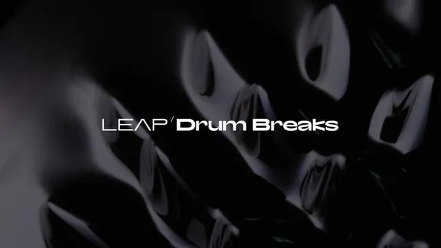 Komplete Kontrol Drum Breaks espansione Leap licenza break