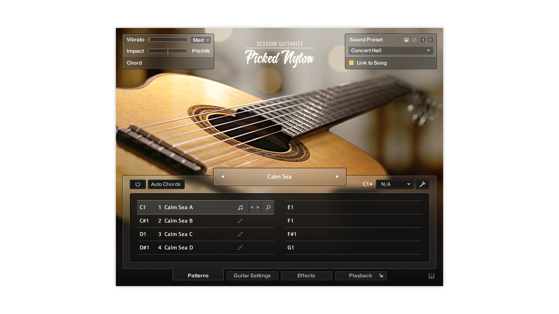 Native Instruments Session Guitarist Picked Nylon chitarra