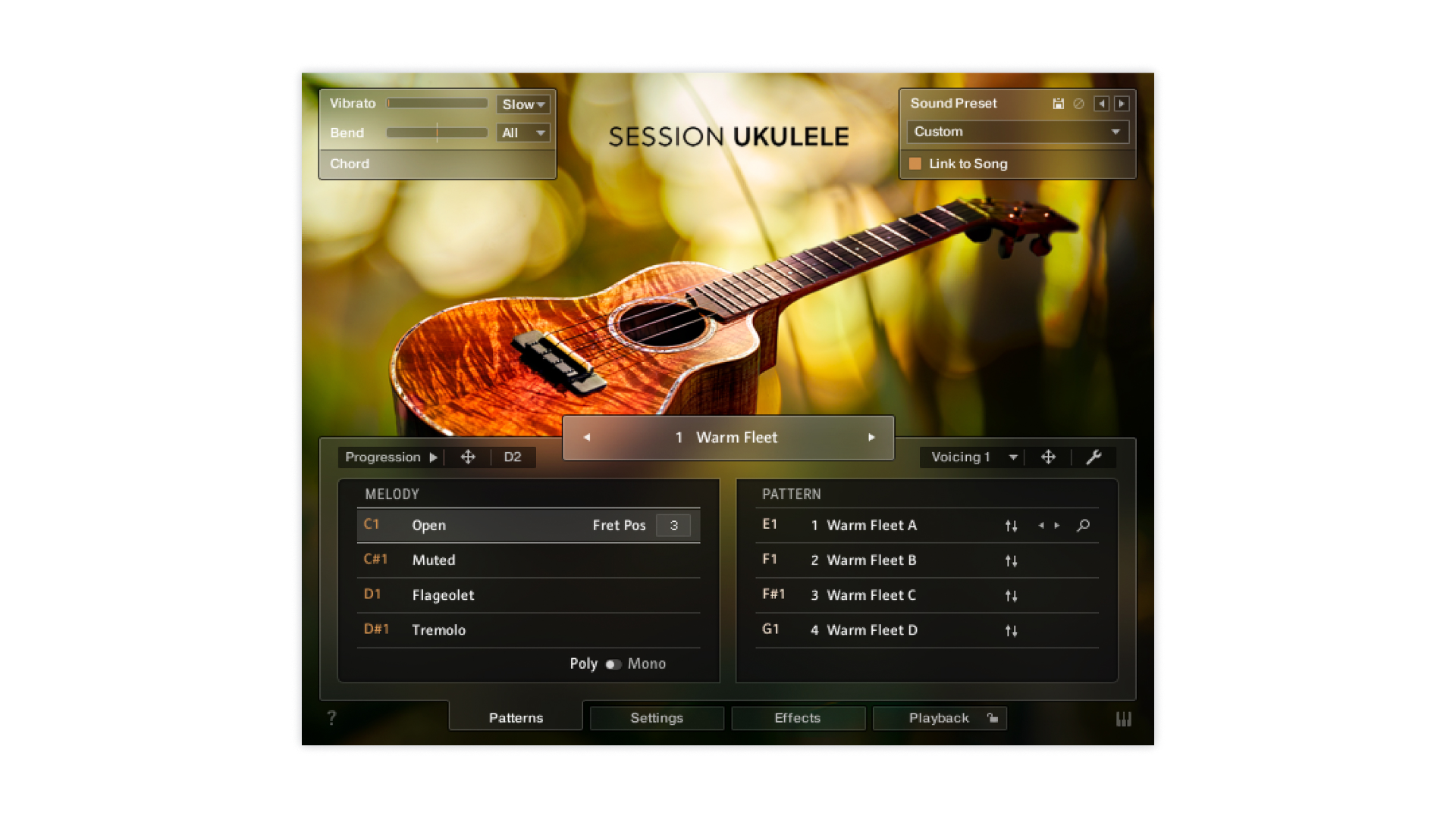 Komplete Kontrol Session Ukulele chitarra ukulele licenza