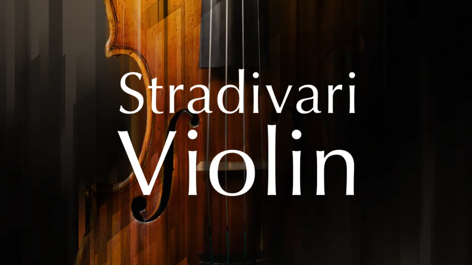 Komplete Kontrol Stradivari Violin violino virtuale