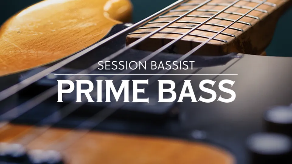 Komplete Kontrol Session Bassist Prime Bass basso elettrico