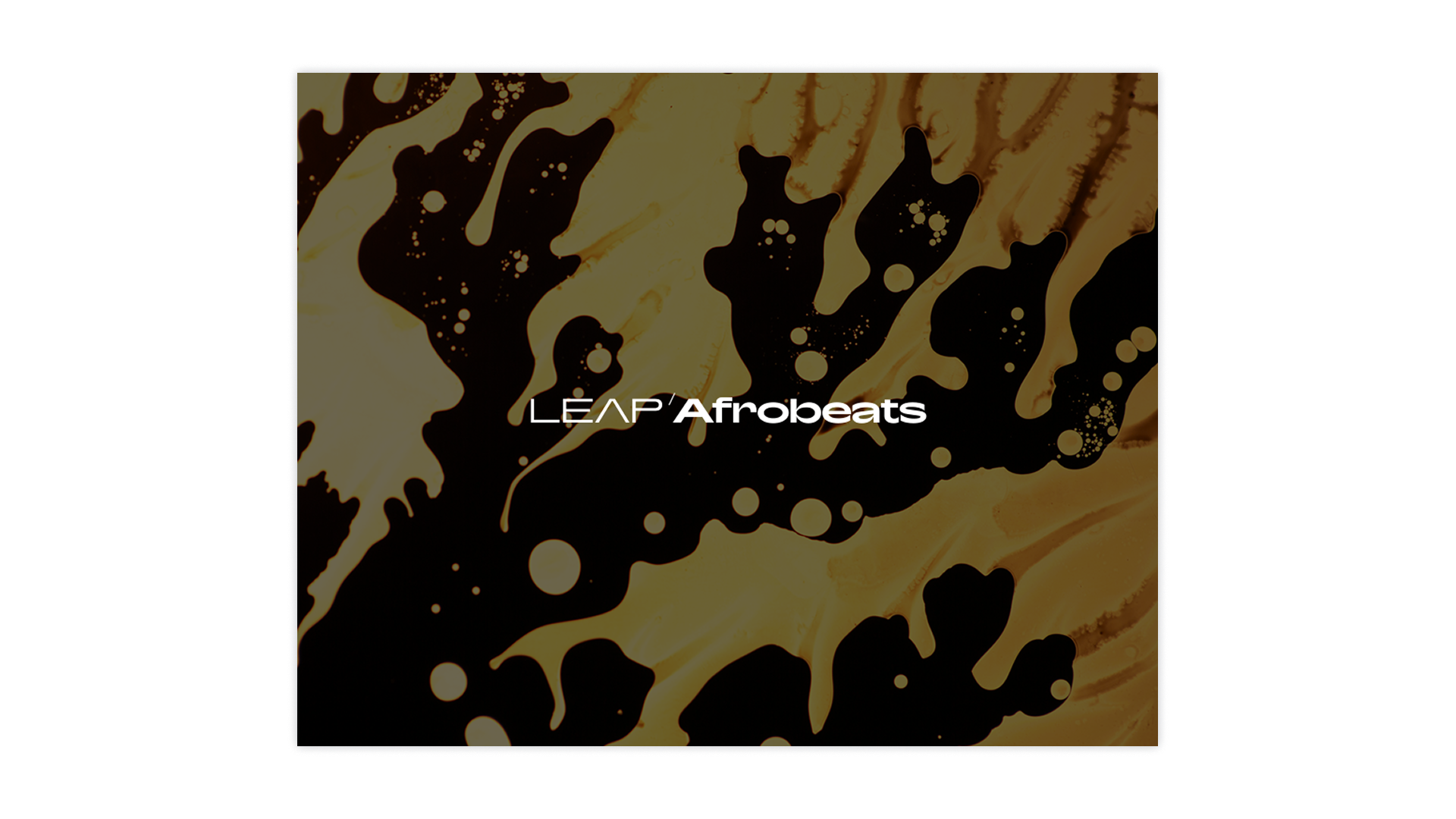 Native Instruments Afrobeats espansione suoni Leap