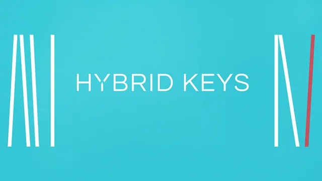 Komplete Kontrol Hybrid Keys piano virtuale licenza Play Series