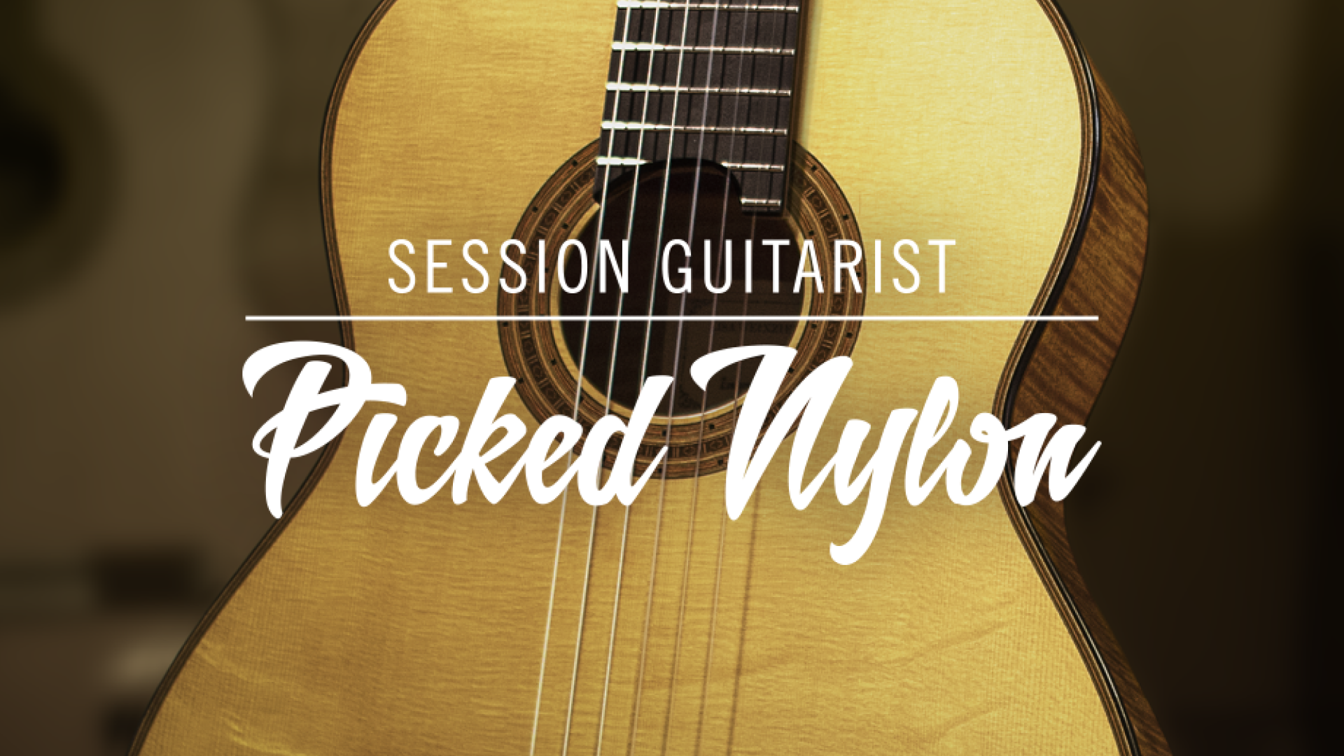 Native Instruments Session Guitarist Picked Nylon chitarra
