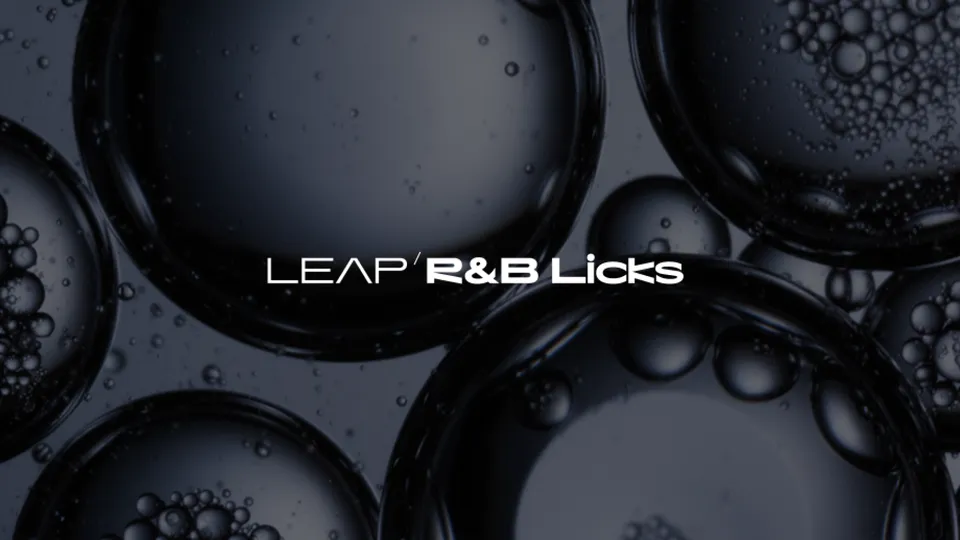 Native Instruments Leap RnB Licks espansione chitarre R&B