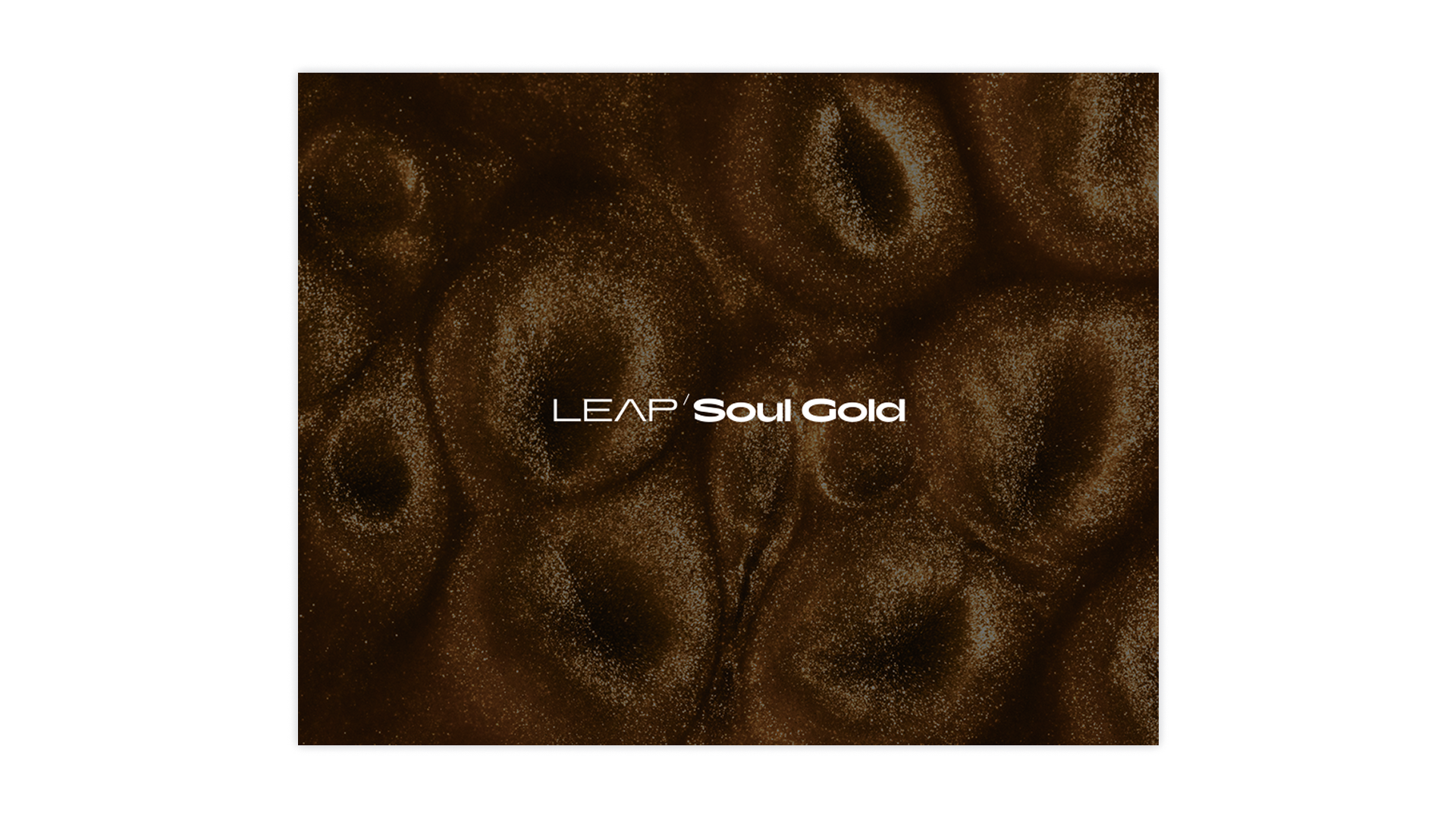 Komplete Kontrol Soul Gold expansion Leap soul