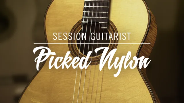 Native Instruments Session Guitarist Picked Nylon chitarra