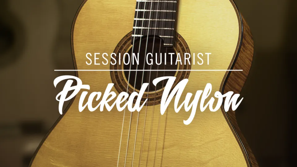 Native Instruments Session Guitarist Picked Nylon chitarra