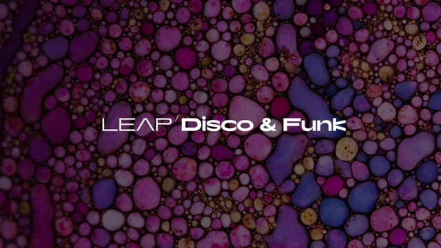 Native Instruments Leap Disco and Funk espansione suoni disco