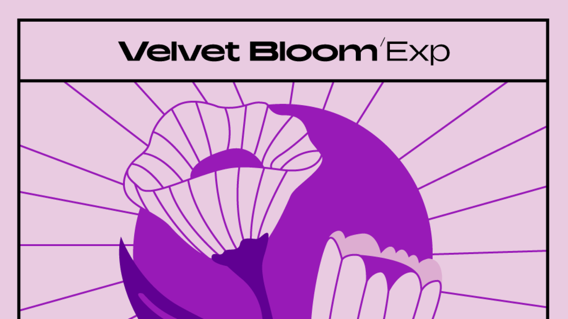 Komplete Kontrol Velvet Bloom espansione hip hop R&B