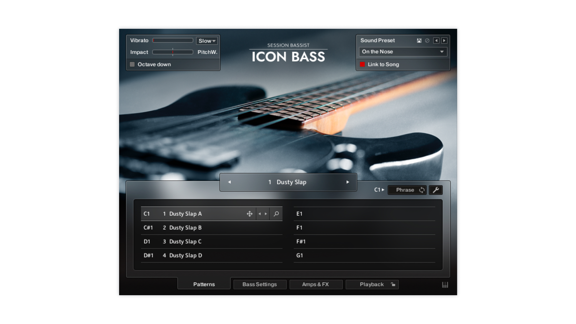 Komplete Kontrol Session Bassist Icon Bass basso virtuale licenza
