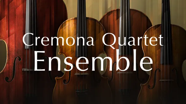 Komplete Kontrol Cremona Quartet Ensemble archi ensemble licenza