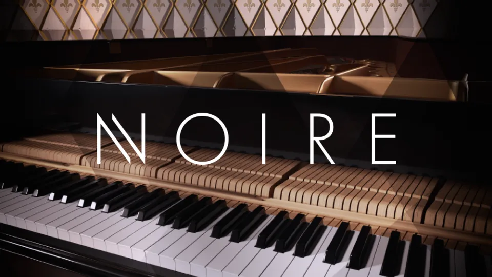 Native Instruments Komplete Kontrol Noire pianoforte virtuale felt