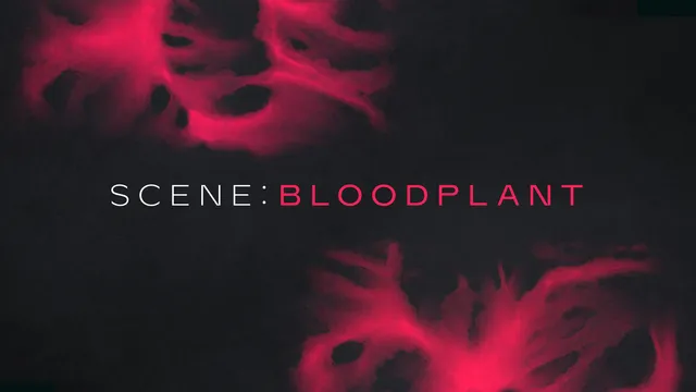 Komplete Kontrol Scene Bloodplant expansion Licenza suoni cinema