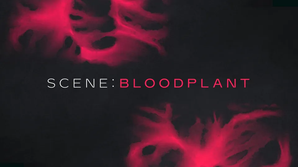 Komplete Kontrol Scene Bloodplant expansion Licenza suoni cinema