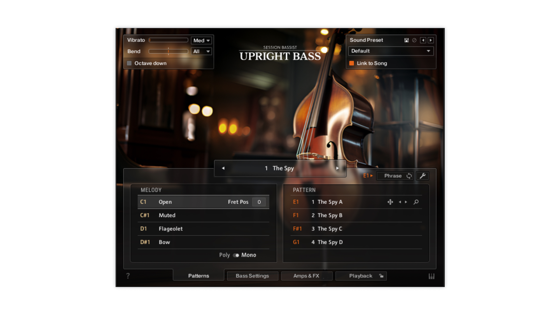 Komplete Kontrol Upright Bass basso contrabbasso