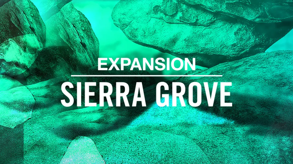 Komplete Kontrol Sierra Grove expansion pack suoni funk soul