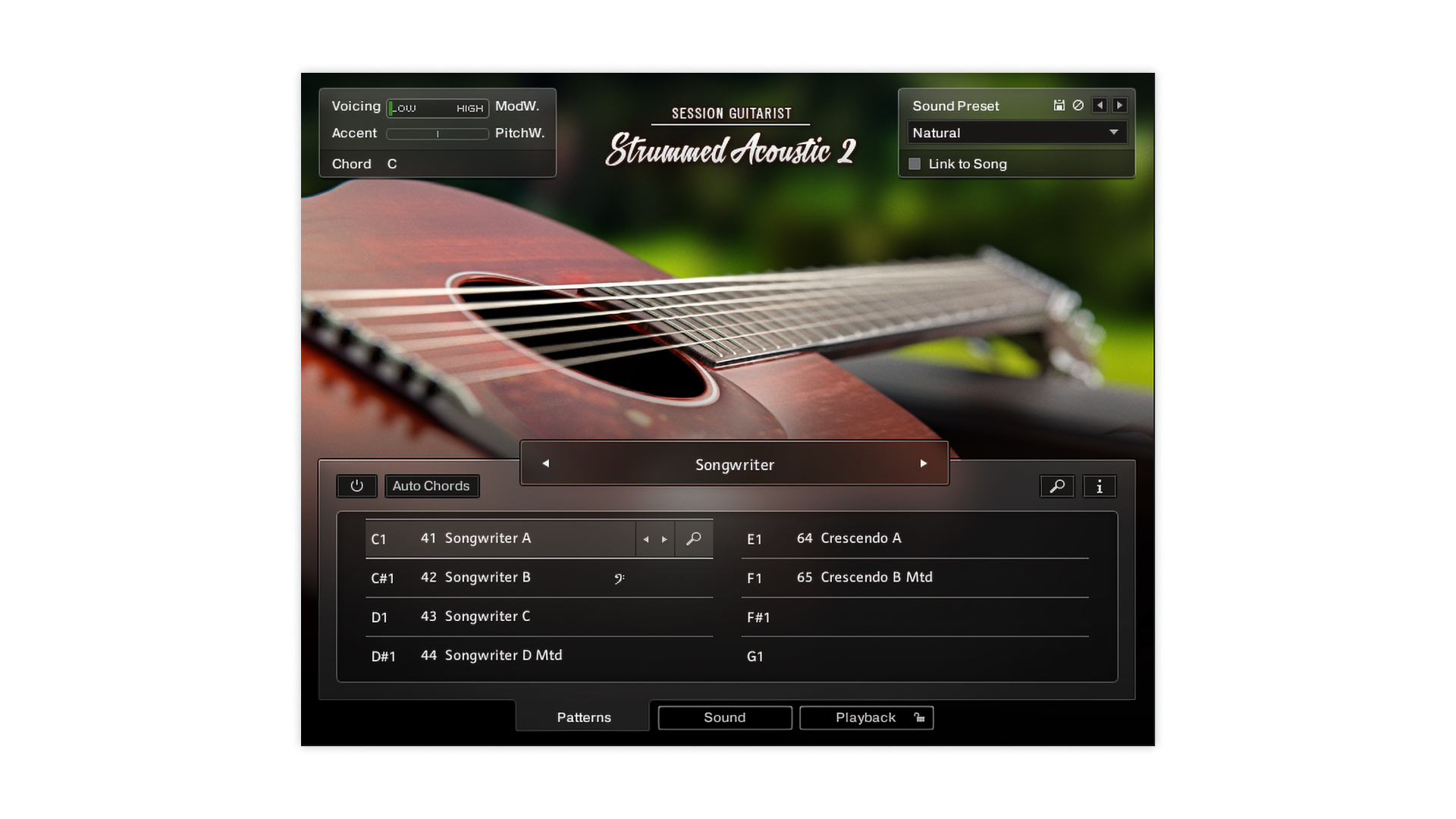 Native Instruments Session Guitarist Strummed Acoustic 2 chitarra