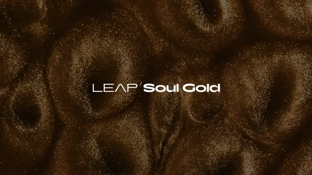 Komplete Kontrol Soul Gold expansion Leap soul