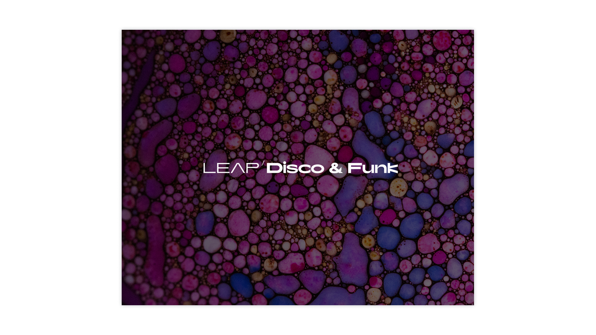 Native Instruments Leap Disco and Funk espansione suoni disco