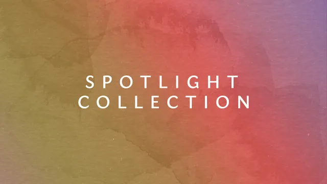 Native Instruments Spotlight Collection bundle strumenti