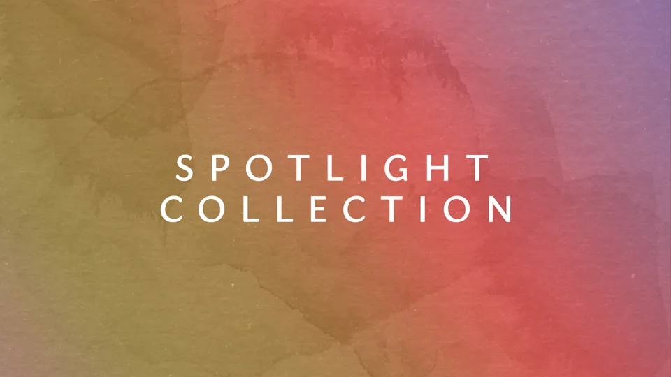 Native Instruments Spotlight Collection bundle strumenti