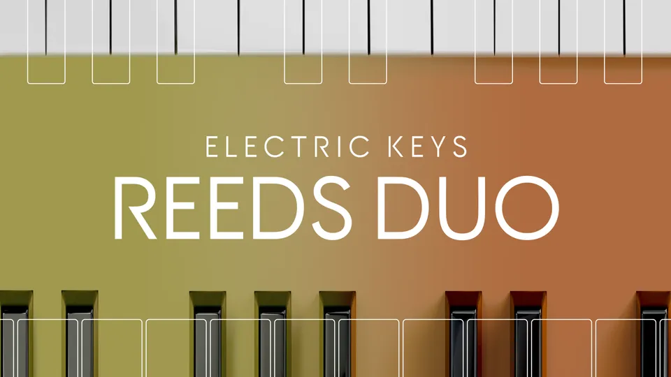 Komplete Kontrol Electric Keys Reeds Duo strumento virtuale licenza