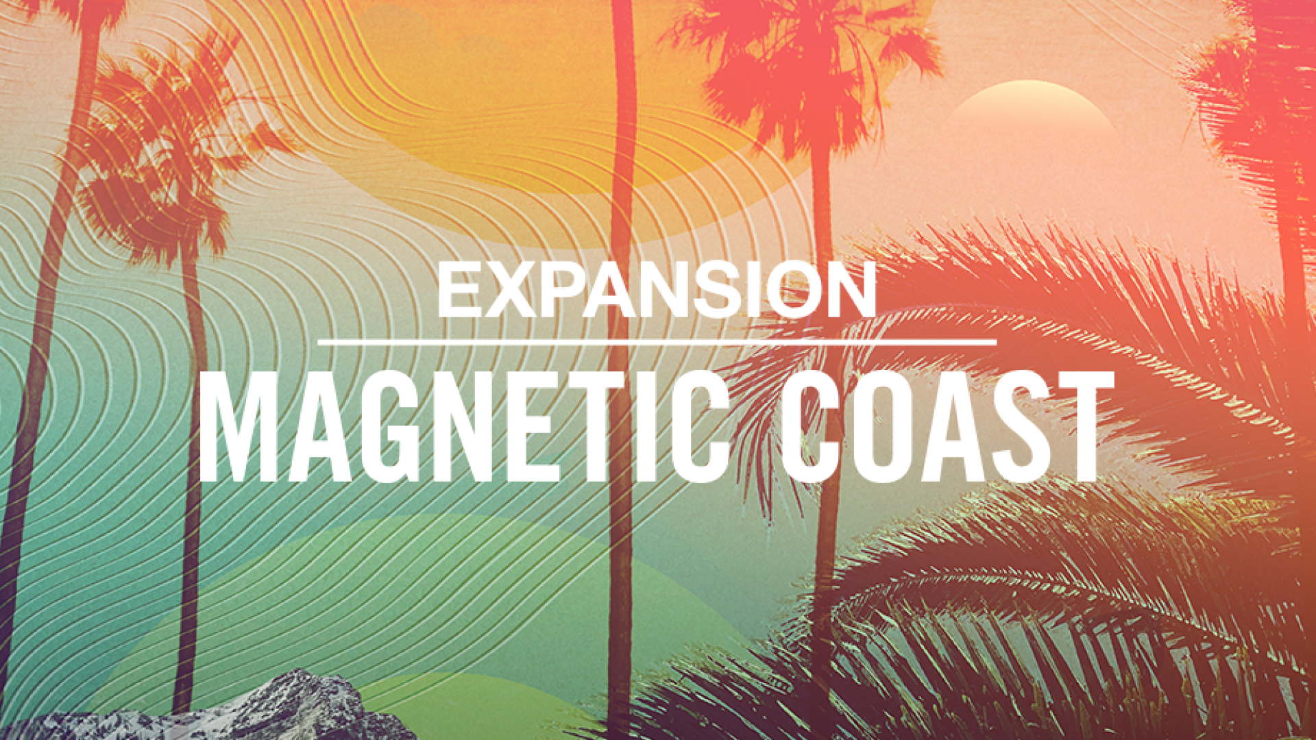 Komplete Kontrol Magnetic Coast expansion elettronica