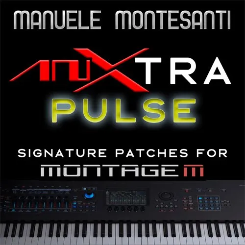 AnXtra Pulse libreria suoni Montage M 10 performance AN-X