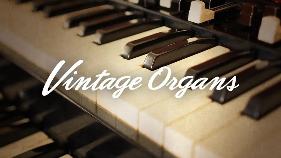 Komplete Kontrol Vintage Organs organo virtuale licenza vintage