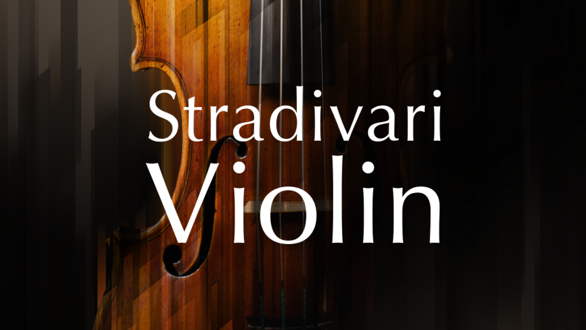 Komplete Kontrol Stradivari Violin violino virtuale