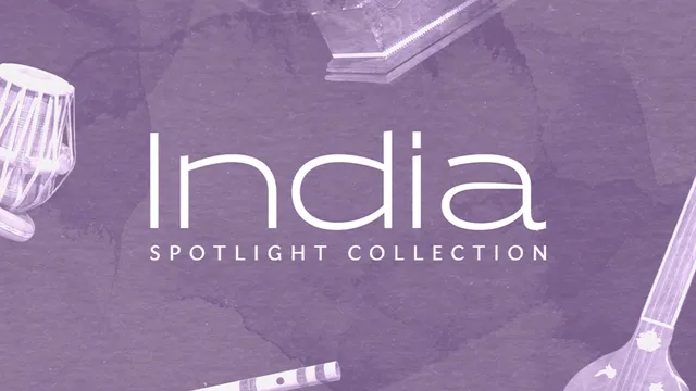 Komplete Kontrol Spotlight India strumenti virtuali licenza
